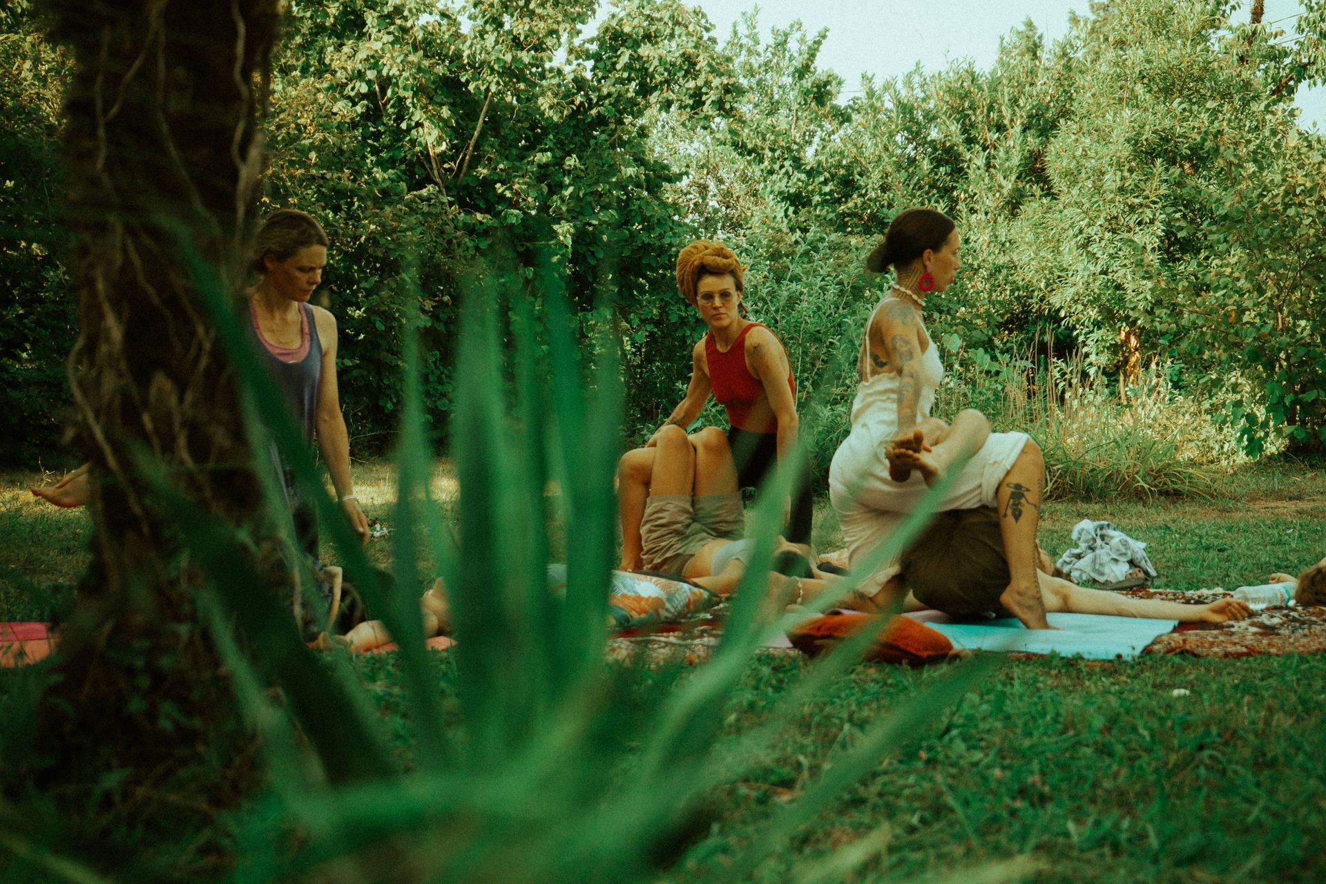 A group of people practices yoga on mats in a lush, green outdoor setting, partially obscured by a plant in the foreground.
