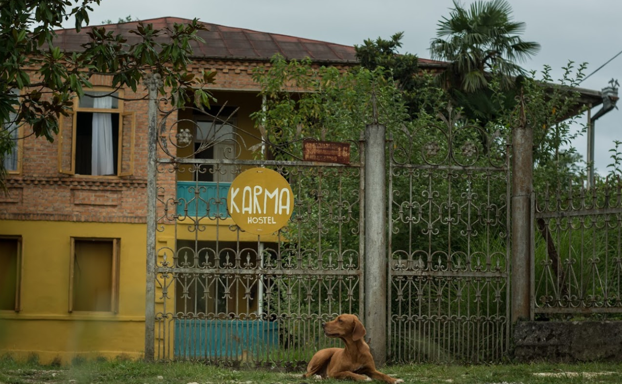A brown dog sits before a yellow building and a decorative metal gate featuring a sign that says 