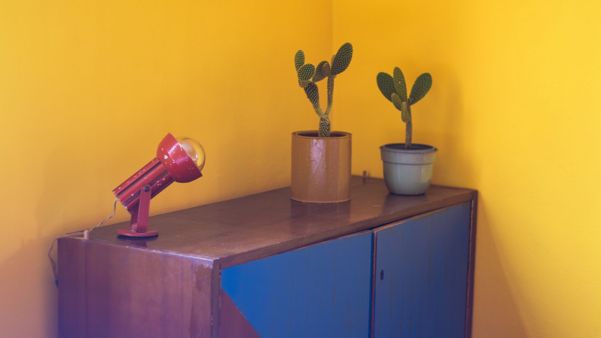 Two potted cactus plants and a red spotlight lamp on a blue and wood cabinet against a bright yellow wall.