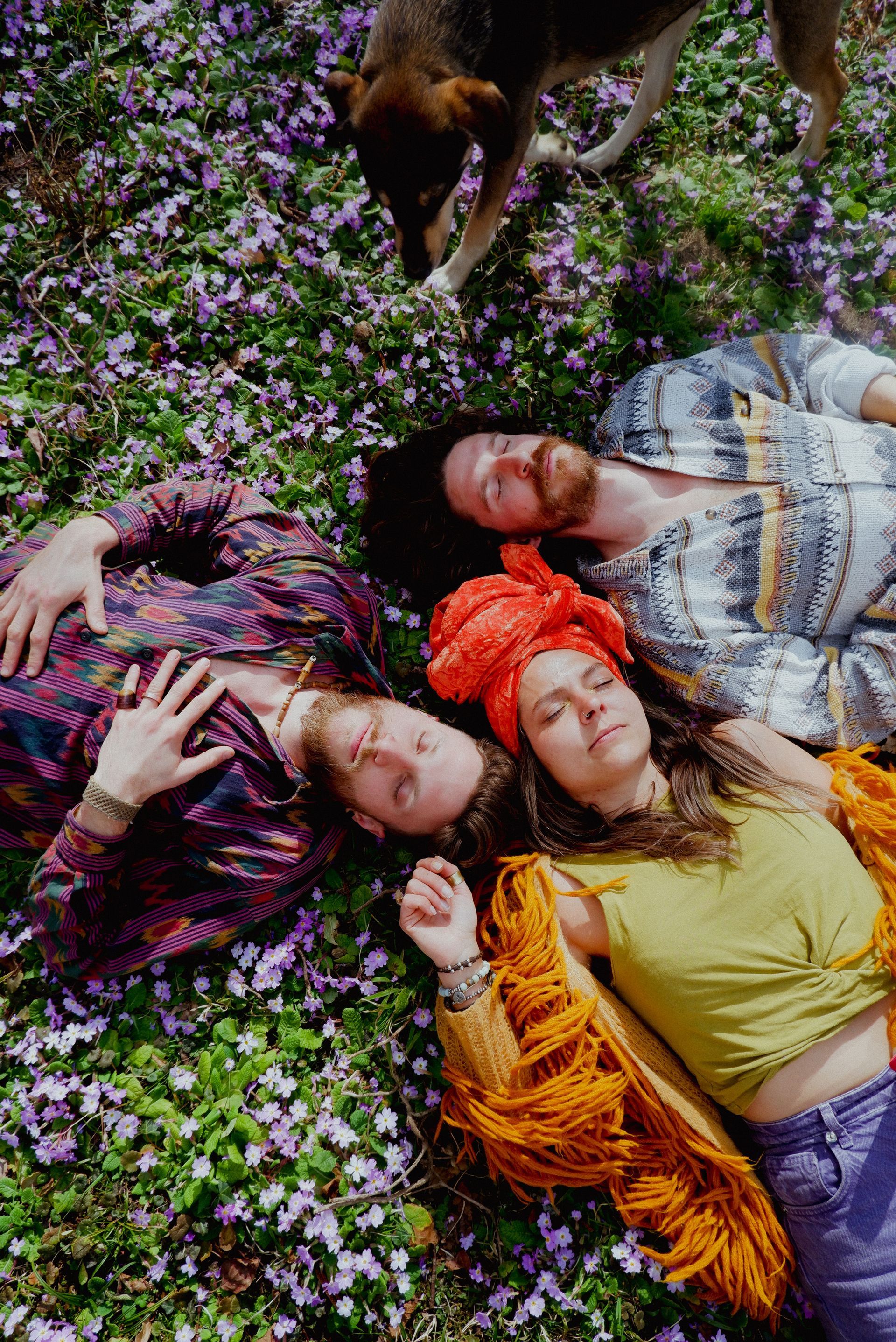 Three people lie in a field of purple flowers with a dog standing nearby. They have eyes closed in a peaceful pose.